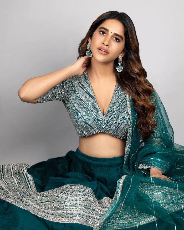 nabha natesh 1